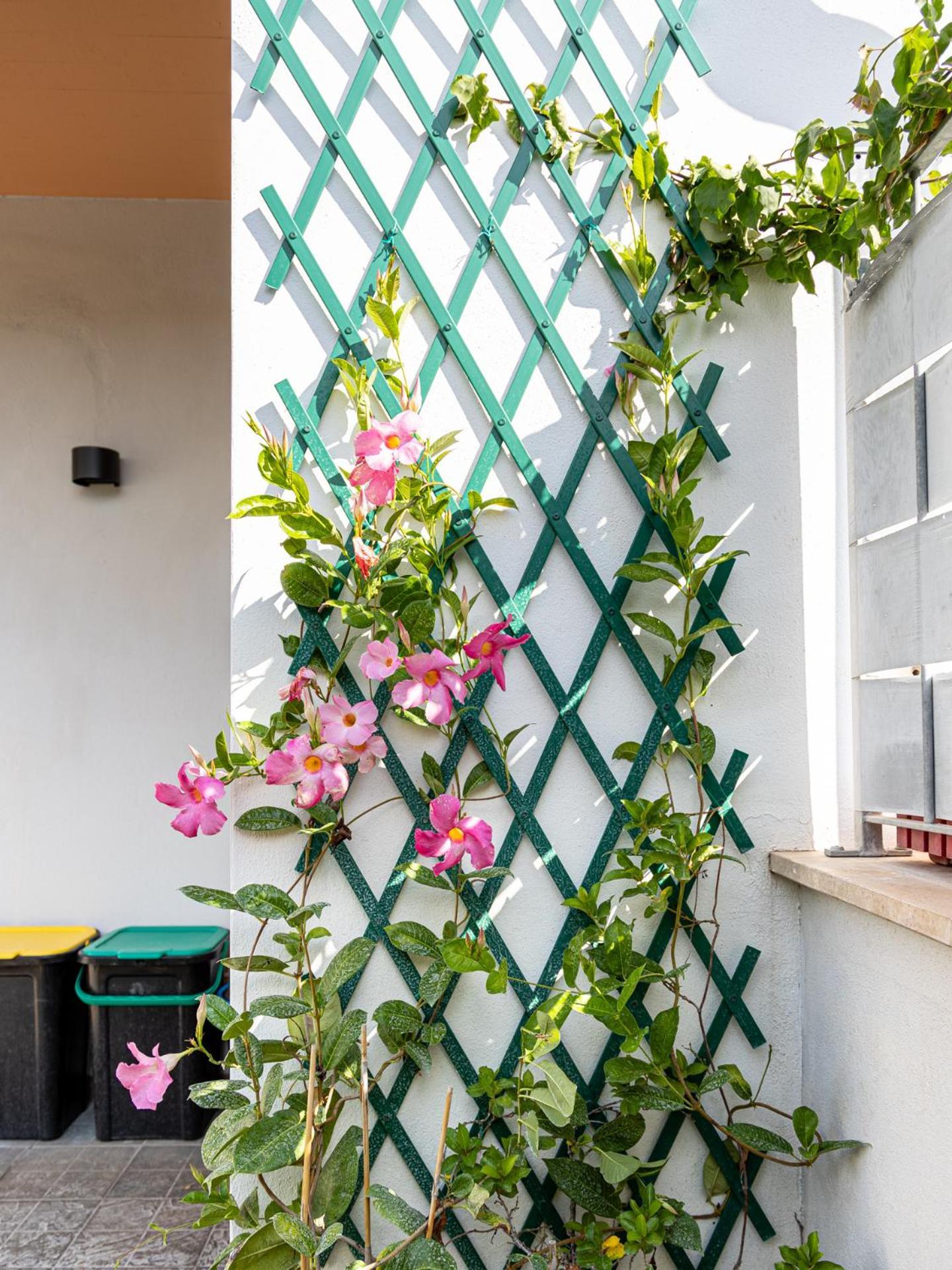 Mrb Real Estate - Maison Ludovica - Monolocale Moderno Con Giardino Frattocchie Εξωτερικό φωτογραφία